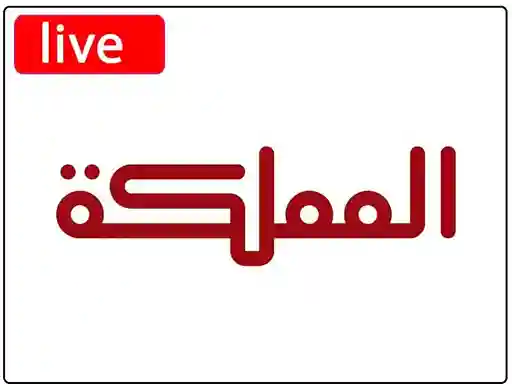 شاهد البث المباشر قناة  المملكة